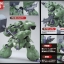 1/100 Gundam Gusion / Gundam Gusion Rebake[BANDAI]
