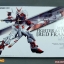 [PO]PG 1/60 Red Frame[DABAN]