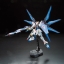 RG 1/144 ZGMF-X20A STRIKE FREEDOM GUNDAM[BANDAI]