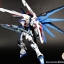 MG 1/100 Freedom Gundam 2.0[6650][DABAN]