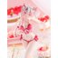 เปิดจอง : Chou Cinnamon 1/6