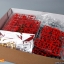 [PO]MG1/100 Astray Red Frame Mars Jacket[8807][DABAN]