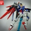 RG 1/144 DESTINY GUNDAM[BANDAI]