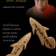 ปลากัด หลวงพ่อน่วม เสน่ห์เมตตา-โชคลาภค้าขายดี ปลากัดมหามนต์ "แกะจากไม้ขนุน " จารมือให้เป็นพิเศษ ปี ๒๕๕๕ หลวงปู่น่วม วัดโพธิ์ศรีเจริญ สุพรรณบุรี