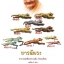 เสือรุ่น7 เสือปืนแตกยันต์กลับ หลวงปู่แย้ม วัดตะเคียน เนื้อทองเหลือง พิมพ์ใหญ่ ปลุกเสกพิธีใหญ่ ฉลองอายุครบ 8 รอบ บารมี 96 ปี๒๕๕๔ พร้อมคาถา ปลุกเสือ สภาพสวยสะสม ไม่ผ่านการใช้