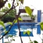 HR3058 บ้านพักหัวหิน บ้านรอคโค่