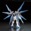 RG 1/144 ZGMF-X20A STRIKE FREEDOM GUNDAM[BANDAI]