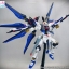 [PO]MG 1/100 Strike Freedom Gundam[003][โมจีนTT]