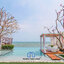 HR15040 บ้านพักหัวหิน The Luxe Dream Beach Villa Hua Hin