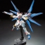 RG 1/144 ZGMF-X20A STRIKE FREEDOM GUNDAM[BANDAI]